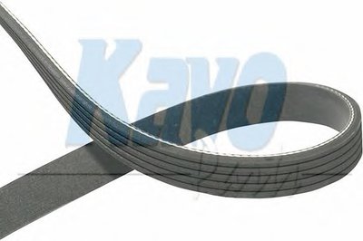 V-Ribbed Belts KAVO PARTS купить