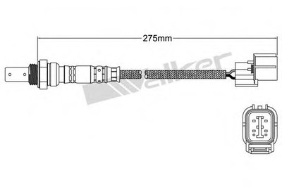Лямда-зонд WALKER PRODUCTS купить