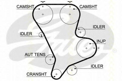 Ремень ГРМ TRISCAN купить