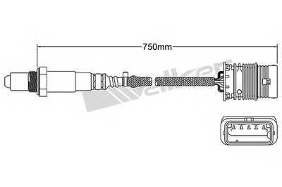 Лямда-зонд WALKER PRODUCTS купить