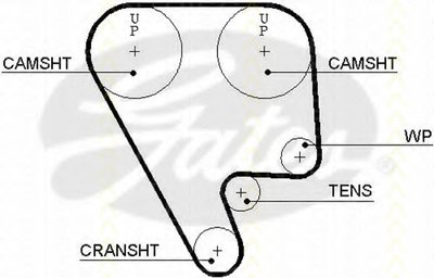 Ремень ГРМ TRISCAN купить