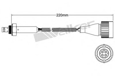 Лямда-зонд WALKER PRODUCTS купить