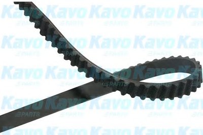 Ремень ГРМ KAVO PARTS купить