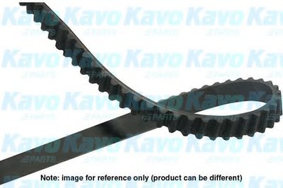 Ремень ГРМ KAVO PARTS купить