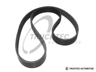 V-Ribbed Belts TRUCKTEC AUTOMOTIVE купить