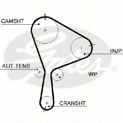 Ремень ГРМ TRISCAN купить