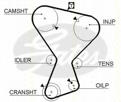 Ремень ГРМ TRISCAN купить