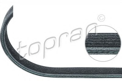 V-Ribbed Belts TOPRAN купить