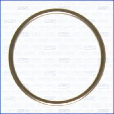 Уплотнительное кольцо резьбовой пробки