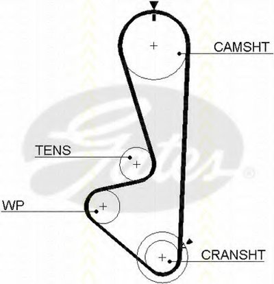 Ремень ГРМ TRISCAN купить