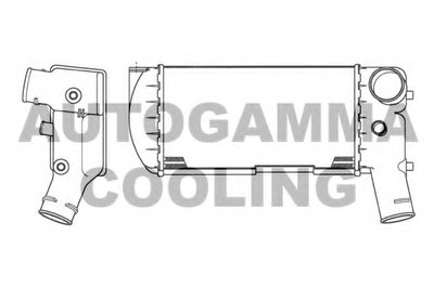 Интеркулер AUTOGAMMA купить