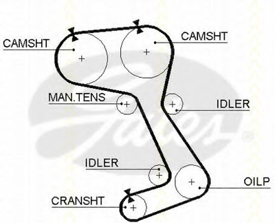 Ремень ГРМ TRISCAN купить