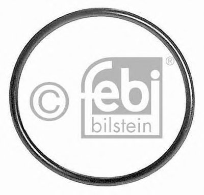 Уплотнительное кольцо; Уплотнительное кольцо, гидравлический фильтр FEBI BILSTEIN купить