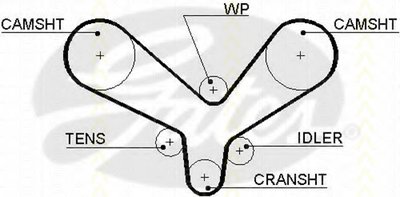 Ремень ГРМ TRISCAN купить