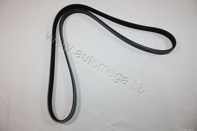 V-Ribbed Belts Automega Premium Alternativ AUTOMEGA купить