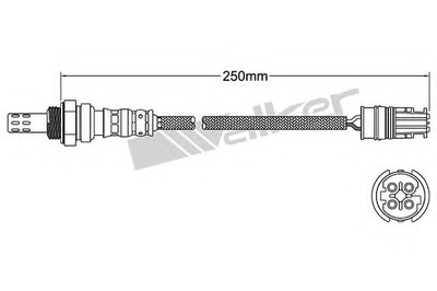 Лямда-зонд WALKER PRODUCTS купить