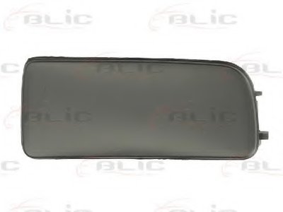 Покрытие, фара BLIC купить