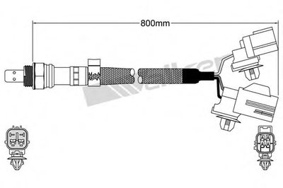 Лямда-зонд WALKER PRODUCTS купить