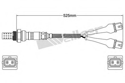 Лямда-зонд WALKER PRODUCTS купить