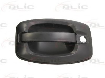 Ручка двери BLIC купить