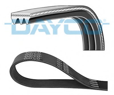 V-Ribbed Belts DAYCO Придбати