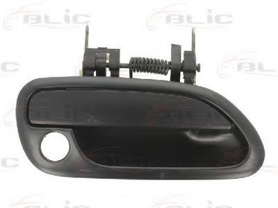 Ручка двери BLIC купить