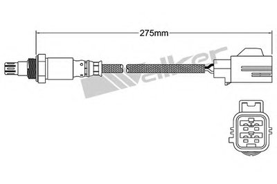Лямда-зонд WALKER PRODUCTS купить