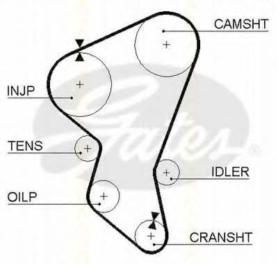 Ремень ГРМ TRISCAN купить