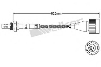 Лямда-зонд WALKER PRODUCTS купить