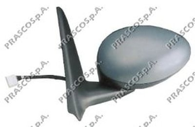 Наружное зеркало PRASCO купить