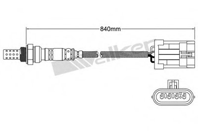 Лямда-зонд WALKER PRODUCTS купить