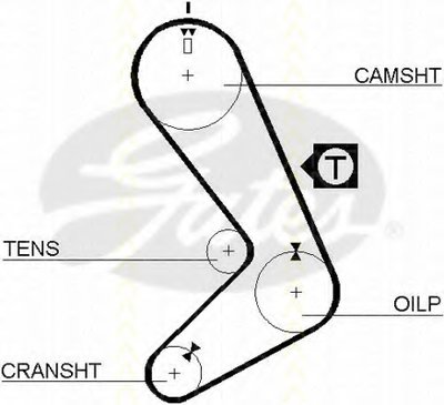 Ремень ГРМ TRISCAN купить