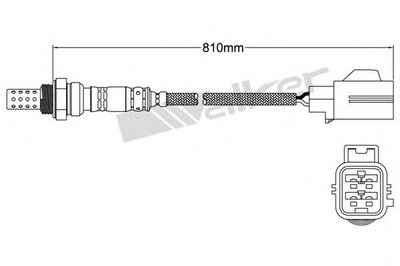 Лямда-зонд WALKER PRODUCTS купить