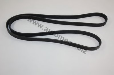 V-Ribbed Belts AutoMega Premium AUTOMEGA купить