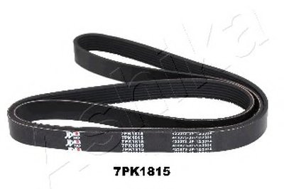 V-Ribbed Belts ASHIKA Купить