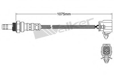 Лямда-зонд WALKER PRODUCTS купить