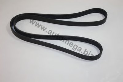 V-Ribbed Belts AutoMega Premium AUTOMEGA купить