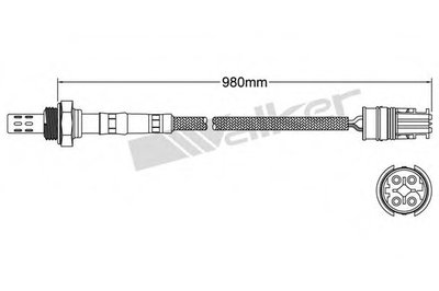 Лямда-зонд WALKER PRODUCTS купить