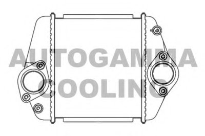 Интеркулер AUTOGAMMA купить
