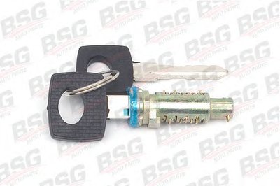 Цилиндр замка BSG купить