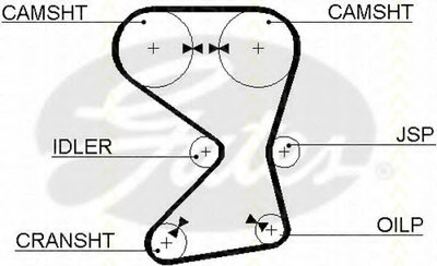 Ремень ГРМ TRISCAN купить