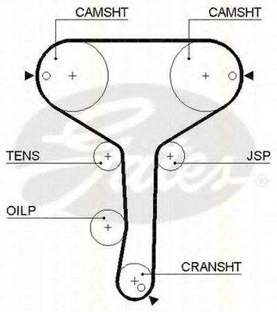 Ремень ГРМ TRISCAN купить